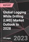 Global Logging While Drilling (LWD) Market Outlook to 2028 - Product Thumbnail Image