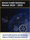 SocialCredit Market by Physical and Cyber Infrastructure (Sensors, Cameras,Biometrics, Computer Vision), Software (Machine Learning, Data Analytics,APIs), Use Cases, Applications, Industry Verticals, and Regions 2021 - 2026- Product Image