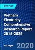 Vietnam Electricity Comprehensive Research Report 2015-2025- Product Image