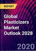 Global Plasticizers Market Outlook 2028- Product Image