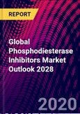 Global Phosphodiesterase Inhibitors Market Outlook 2028- Product Image