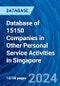 Database of 15150 Companies in Other Personal Service Activities in Singapore - Product Image
