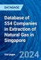 Database of 554 Companies in Extraction of Natural Gas in Singapore - Product Thumbnail Image