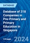 Database of 318 Companies in Pre-Primary and Primary Education in Singapore - Product Image