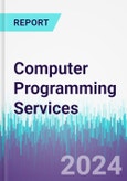 Computer Programming Services- Product Image