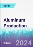 Aluminum Production- Product Image
