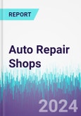 Auto Repair Shops- Product Image