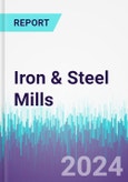 Iron & Steel Mills- Product Image