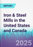 Iron & Steel Mills in the United States and Canada- Product Image