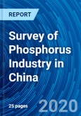 Survey of Phosphorus Industry in China- Product Image