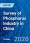 Survey of Phosphorus Industry in China - Product Thumbnail Image
