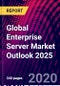 Global Enterprise Server Market Outlook 2025 - Product Thumbnail Image
