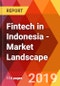 Fintech in Indonesia - Market Landscape - Product Thumbnail Image