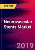 Neurovascular Stents Market Report - United States - 2020-2026 - MedCore- Product Image