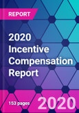 2020 Incentive Compensation Report- Product Image