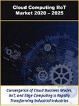 Cloud Computing in Industrial IoT: Cloud-based IIoT Software, Platforms, and Edge Computing Infrastructure 2020 - 2025- Product Image