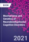 Mechanisms and Genetics of Neurodevelopmental Cognitive Disorders - Product Image