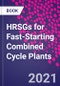 HRSGs for Fast-Starting Combined Cycle Plants - Product Thumbnail Image