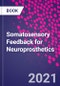 Somatosensory Feedback for Neuroprosthetics - Product Thumbnail Image