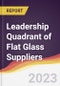 Leadership Quadrant of Flat Glass Suppliers - 2021 - Product Image