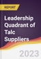 Leadership Quadrant of Talc Suppliers - 2022 - Product Thumbnail Image