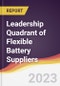 Leadership Quadrant of Flexible Battery Suppliers - 2021 - Product Image