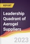 Leadership Quadrant of Aerogel Suppliers - 2022 - Product Thumbnail Image