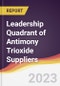 Leadership Quadrant of Antimony Trioxide Suppliers - 2021 - Product Image