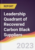 Leadership Quadrant of Recovered Carbon Black Suppliers- Product Image