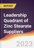 Leadership Quadrant of Zinc Stearate Suppliers- Product Image