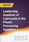 Leadership Quadrant of Lubricants in the Plastic Processing Suppliers - 2022 - Product Image