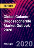 Global Galacto-Oligosaccharide Market Outlook 2028- Product Image
