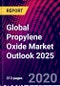 Global Propylene Oxide Market Outlook 2025 - Product Thumbnail Image