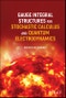 Gauge Integral Structures for Stochastic Calculus and Quantum Electrodynamics. Edition No. 1 - Product Thumbnail Image