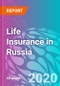 Marketing Research of the Life Insurance in Russia for the Period Between 2015 and 2019 with a Forecast to 2024 - Product Thumbnail Image