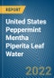 United States Peppermint Mentha Piperita Leaf Water Monthly Export Monitoring Analysis - Product Thumbnail Image