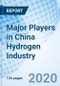 Major Players in China Hydrogen Industry - Product Image