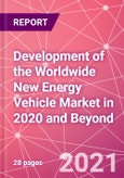 Development of the Worldwide New Energy Vehicle Market in 2020 and Beyond- Product Image
