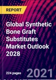 Global Synthetic Bone Graft Substitutes Market Outlook 2028- Product Image