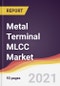 Metal Terminal MLCC Market: Trends, Forecast and Competitive Analysis - Product Thumbnail Image
