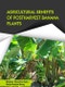 Agricultural Benefits of Postharvest Banana Plants - Product Thumbnail Image