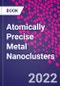 Atomically Precise Metal Nanoclusters - Product Thumbnail Image