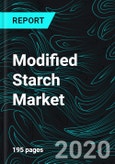 Modified Starch Market, Production & Forecast, Sectors (Corn, Wheat, Cassava, Potato), Regions, Segments, Company Analysis- Product Image
