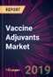 Vaccine Adjuvants Market by Application and Geography - Forecast and Analysis 2020-2024 - Product Thumbnail Image