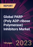 Global PARP (Poly ADP-ribose Polymerase) Inhibitors Market 2020-2024- Product Image