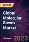 Global Molecular Sieves Market 2023-2027 - Product Image