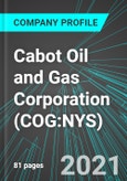 Cabot Oil and Gas Corporation (COG:NYS): Analytics, Extensive Financial Metrics, and Benchmarks Against Averages and Top Companies Within its Industry- Product Image