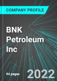 BNK Petroleum Inc (BKX:TSE): Analytics, Extensive Financial Metrics, and Benchmarks Against Averages and Top Companies Within its Industry- Product Image