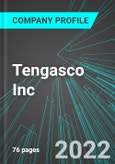Tengasco Inc (TGC:ASE): Analytics, Extensive Financial Metrics, and Benchmarks Against Averages and Top Companies Within its Industry- Product Image