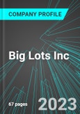 Big Lots Inc (BIG:NYS): Analytics, Extensive Financial Metrics, and Benchmarks Against Averages and Top Companies Within its Industry- Product Image